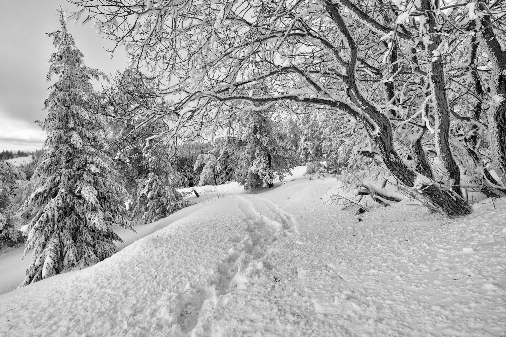 Impronte nella neve, impronte nella testa